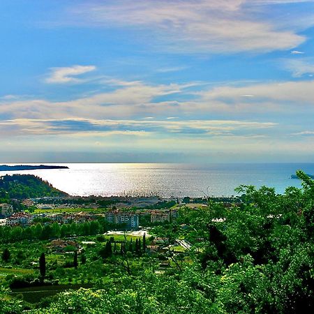 דירות בפורטורוז Sea View Olive Retreat מראה חיצוני תמונה