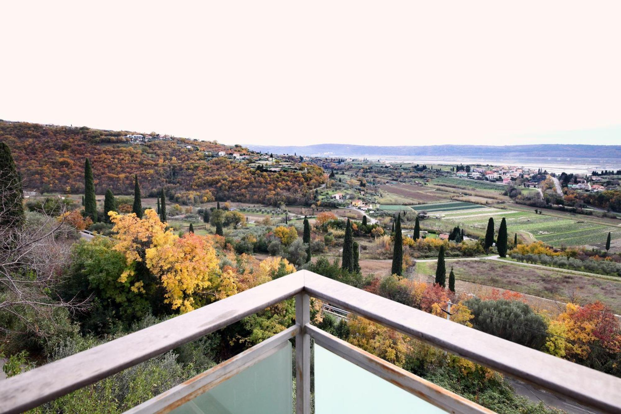 דירות בפורטורוז Sea View Olive Retreat מראה חיצוני תמונה